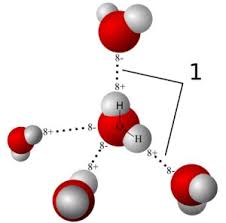Liên kết hóa học cấu tạo phân tử