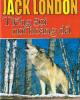 Tiểu thuyết Tiếng gọi nơi hoang dã - Jack London