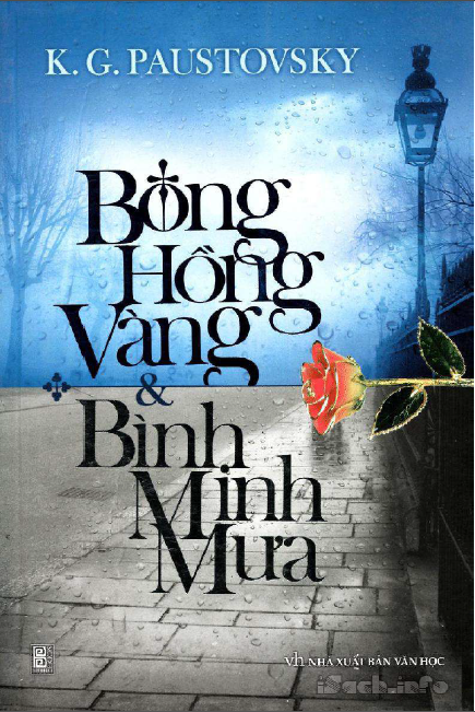 Bông hồng vàng và bình minh mưa