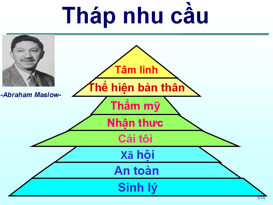 Vận dụng lý thuyết tháp nhu cầu của Maslow trong quản trị nguồn nhân lực