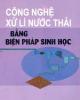 Xử lý nước thải bằng phương pháp sinh học